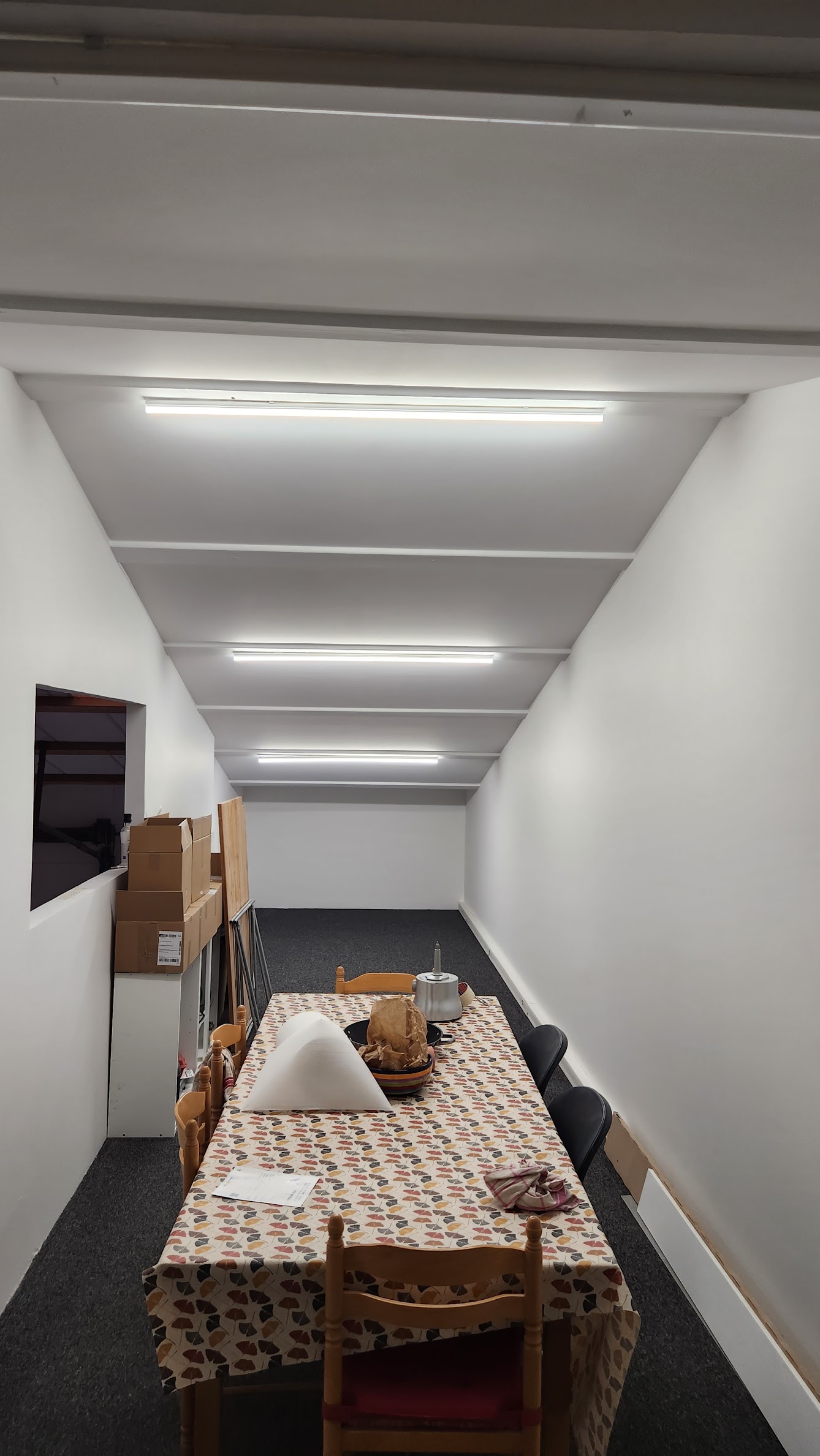 Aperçu du chantier : Plafond